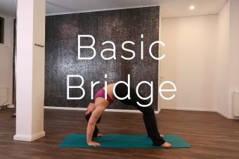 Basic Bridge