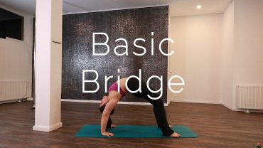 Basic Bridge
