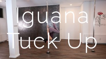 Iguana Tuck Up