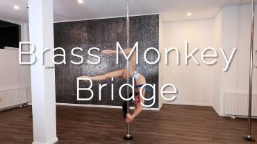 Brass Monkey Bridge